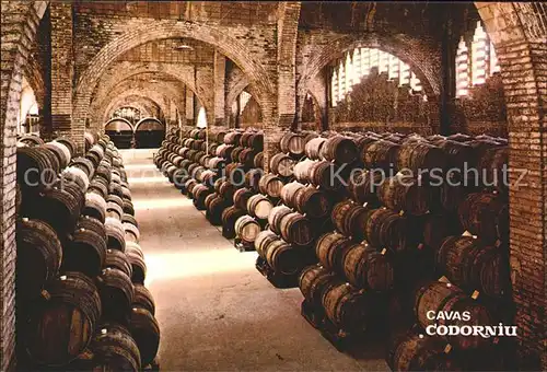 Wein Weinkeller Cavas Codorniu National Denkmal Spanien  Kat. Lebensmittel