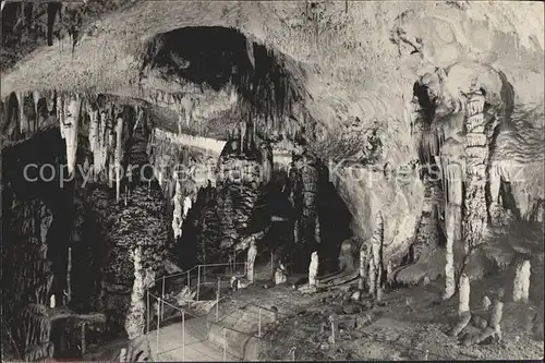 Hoehlen Caves Grottes Postojnska Jama Neue Grotte  Kat. Berge