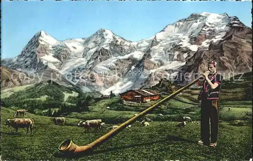 Alphorn Alphornblaeser Alpen Kuehe Kat. Musik