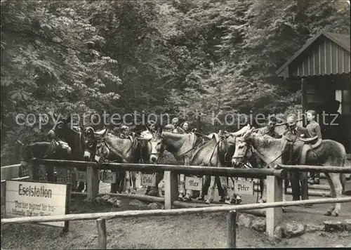 Esel Tiere Eselstation Wartburg Eisenach  Kat. Tiere