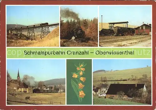 Eisenbahn Schmalspurbahn Cranzahl Oberwiesenthal Viadukt  Kat. Eisenbahn