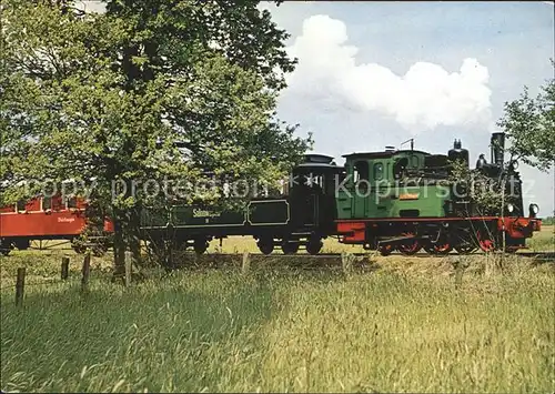 Lokomotive DEV Lok Spreewald Heiligenberg  Kat. Eisenbahn