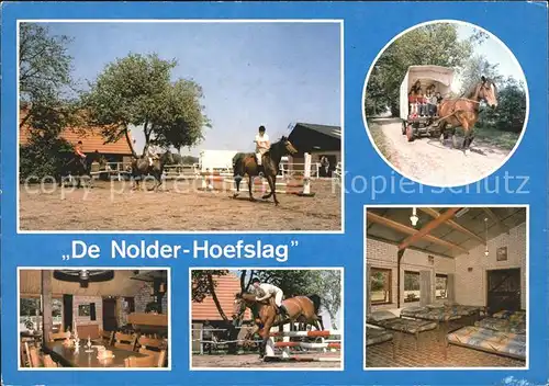 Reitsport Pferdesport Pferderennen De Nolder Hoefslag Zuidwolde Kat. Sport