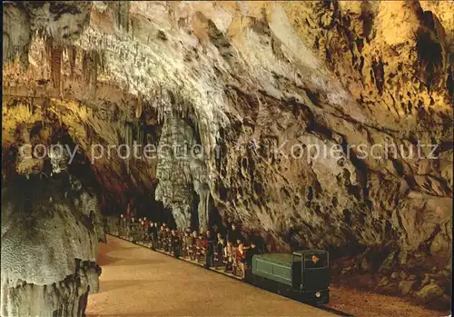 Hoehlen Caves Grottes Postojnska Jama Kat. Berge