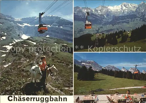 Seilbahn Chaeserrugg Unterwasser Churfirsten Alpstein Sennbub Ziegen Kat. Bahnen