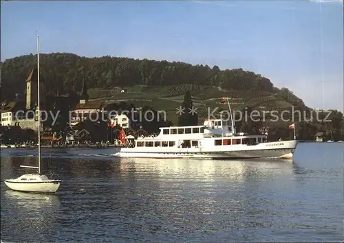 Motorschiffe MS Niederhorn Thunersee Spiez  Kat. Schiffe