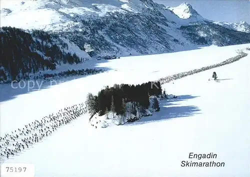 Ski Langlauf Skimarathon Engadin  Kat. Sport
