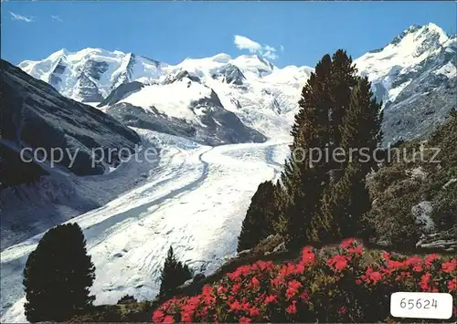 Gletscher Morteratschgletscher Piz Palue Bellavista Piz Bernina Kat. Berge