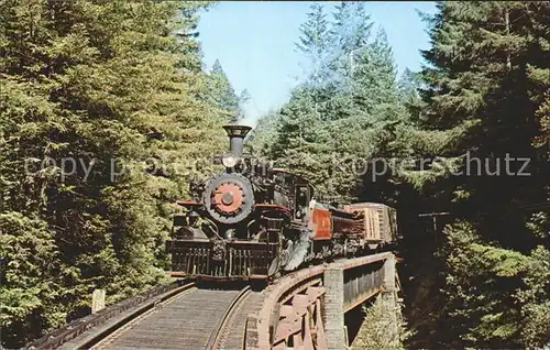 Lokomotive California Western 46  Kat. Eisenbahn