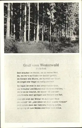 Liederkarte Gruss vom Westerwald  Kat. Musik