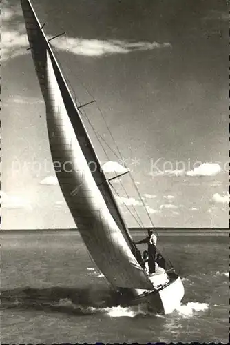 Segelboote Segeln Vitorlas Balatonon  Kat. Schiffe