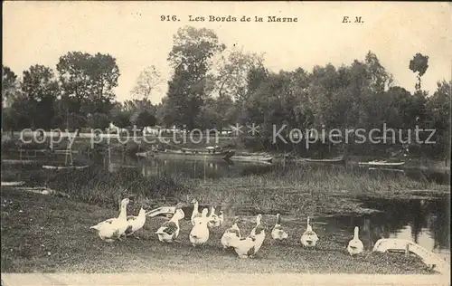 Gefluegel Gaense Bords de la Marne  Kat. Tiere