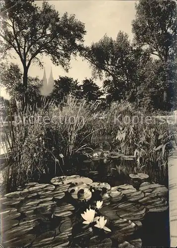 Bundesgartenschau Koeln 1957 Wassergarten  Kat. Expositions