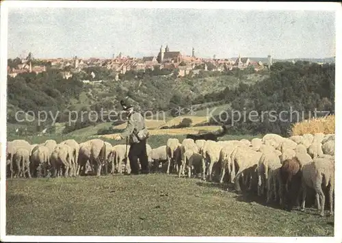 Schafe Hirte Spendenkarte Doppelbruecke Wiederaufbau Rothenburg Kat. Tiere