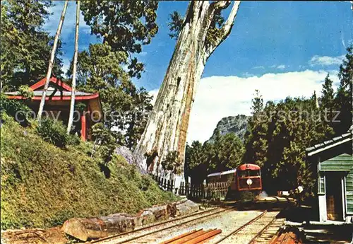 Eisenbahn Divine Tree Mount Ali Japan Kat. Eisenbahn