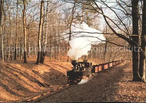 Lokomotive Waldeisenbahn Muskau  Kat. Eisenbahn
