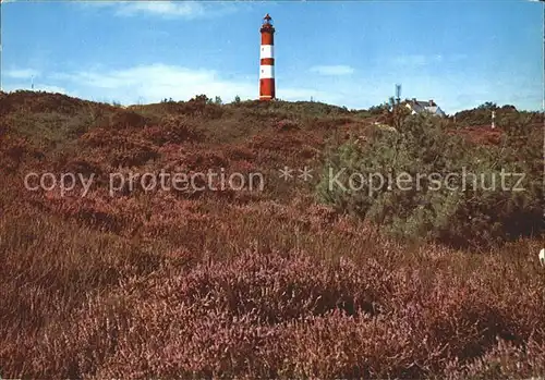 Leuchtturm Lighthouse Amrum Heide  Kat. Gebaeude