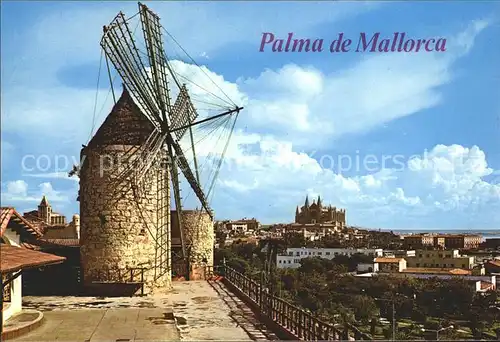 Windmuehle Palma de Mallorca Molino Catedral Kat. Gebaeude und Architektur