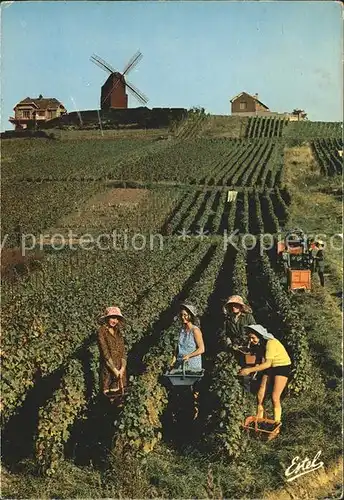 Windmuehle Vendages en Champagne Traubenlese  Kat. Gebaeude und Architektur