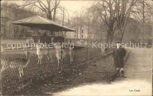 Hirsch Cerfs Wildgehege Kat. Tiere