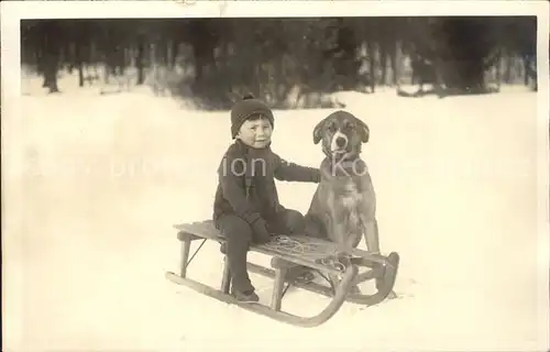 Schlitten Schnee Kind Hund Foto Kat. Sport