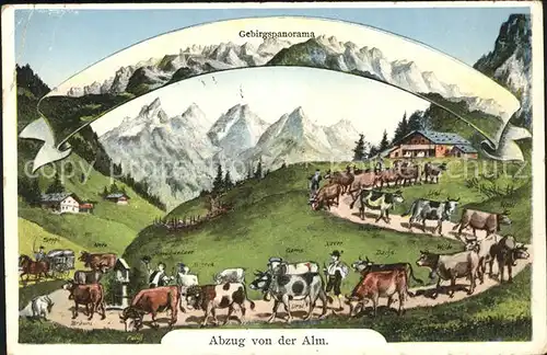 Kuehe Abzug von der Alm  Kat. Tiere