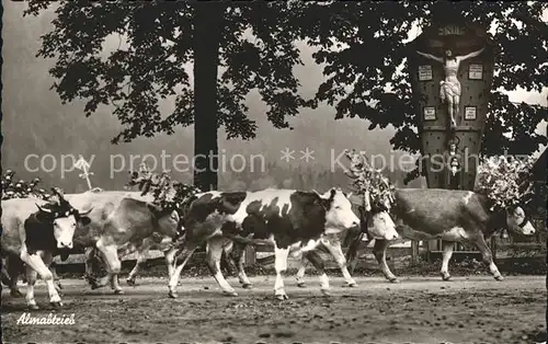 Kuehe Almabtrieb Wegkreuz Kat. Tiere