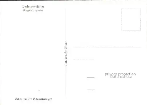 Schmetterlinge Perlmutterfalter Argynnis aglaja Kat. Tiere