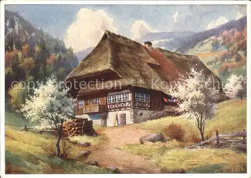 Merker W. Fruehling im Schwarzwald  Kat. Schwarzwaldkuenstler