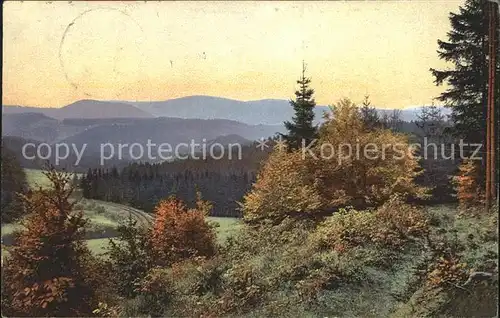 Verlag Photochromie Nr. 2557 Serie 131 Baeume Wald Berge  Kat. Verlage