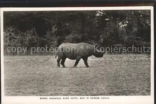 Nashorn Rhino Namanga River Hotel Nairobi Kat. Tiere