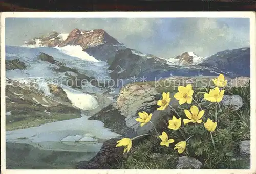 Verlag Photochromie Nr. 1499 Serie 582 Gelbe Alpen Anemone  Kat. Verlage