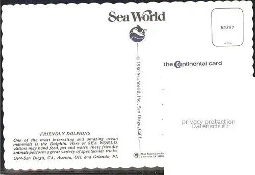 Delphine Sea World  Kat. Tiere