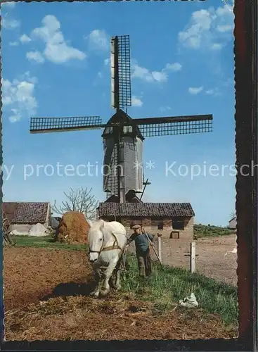 Windmuehle Pferd Landwirtschaft Holland  Kat. Gebaeude und Architektur