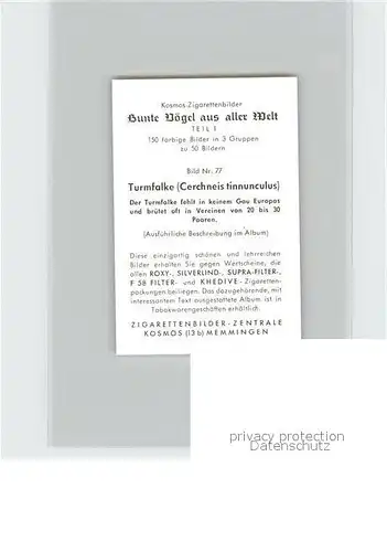 Voegel Turmfalke Kosmos Zigarettenbilder Bild Nr. 77 Kat. Tiere