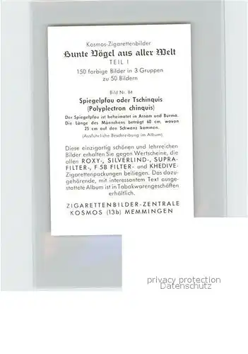 Voegel Spiegelpfau oder Tschinquis Kosmos Zigarettenbilder Bild Nr. 84 Kat. Tiere