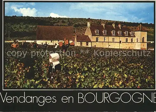 Wein Vendange Bourgogne  Kat. Lebensmittel