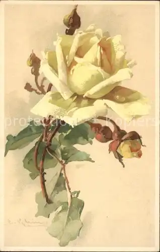 Klein Catharina Rose Litho Kat. Kuenstlerkarte