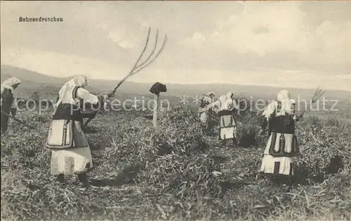 Landwirtschaft Bohnendreschen Mazedonien Kat. Landwirtschaft