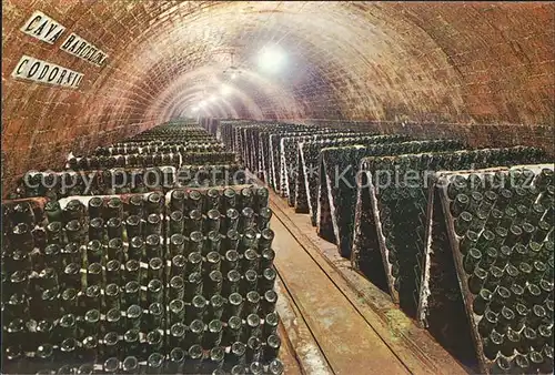 Wein Cavas Codorniu Flaschen in Pulten Kat. Lebensmittel