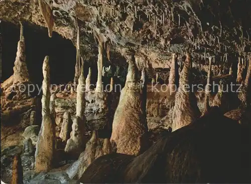Hoehlen Caves Grottes Baerenhoehle Karlshoehle Erpfingen Kat. Berge