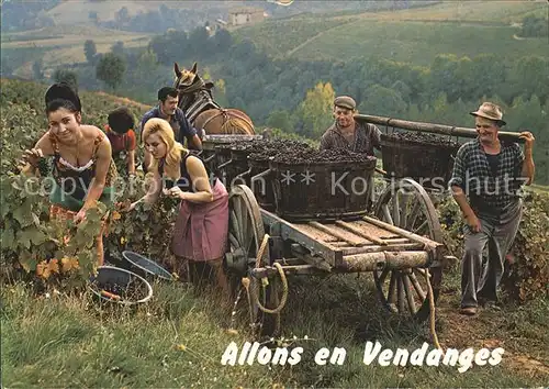 Ernte Landwirtschaft Weinlese Vendange Humor  Kat. Landwirtschaft