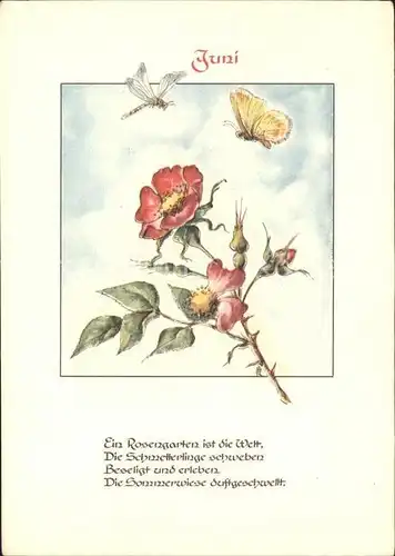 Monatskarte Juni Libelle Schmetterling Rosen Gedicht  Kat. Besonderheiten
