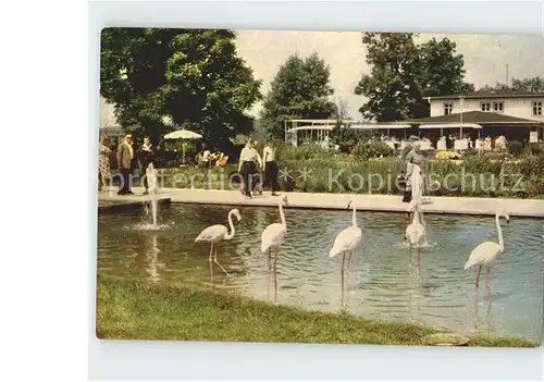 Gartenbauaustellung Erfurt Flamingos Wasserachse  Kat. Expositions