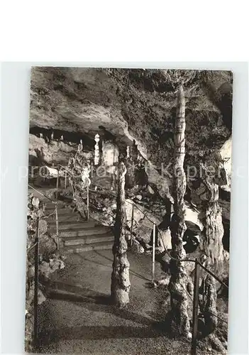 Hoehlen Caves Grottes Nebelhoehle Genkingen  Kat. Berge