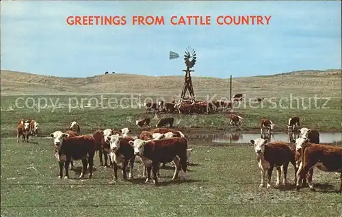 Kuehe Cattle Country Windmill  Kat. Tiere