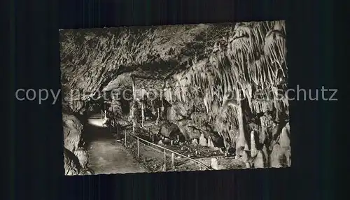 Hoehlen Caves Grottes Baerenhoehle Karlshoehle Erpfingen  Kat. Berge