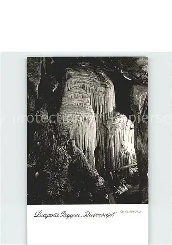 Hoehlen Caves Grottes Lurgrotte Peggau Riesenorgel  Kat. Berge