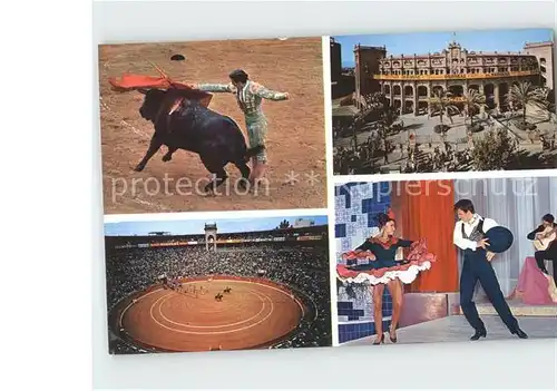 Stierkampf Toros y Folklore Andaluz Palma de Mallorca Flamenco  Kat. Sport