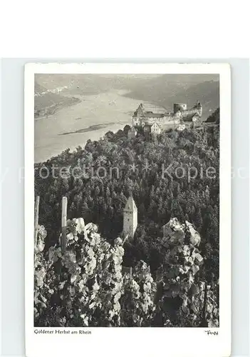 Foto Popp Nr. Goldener Herbst am Rhein Kat. Fotografie